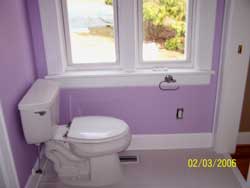 lavender tub and toilet